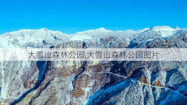 大雪山森林公园,大雪山森林公园图片-第2张图片-呼呼旅行网