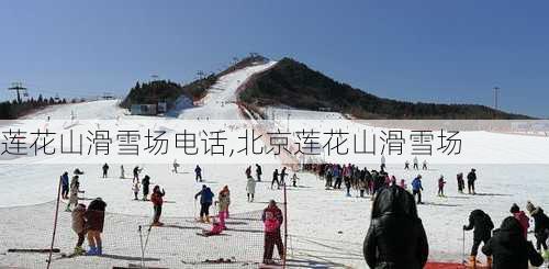 莲花山滑雪场电话,北京莲花山滑雪场-第1张图片-呼呼旅行网