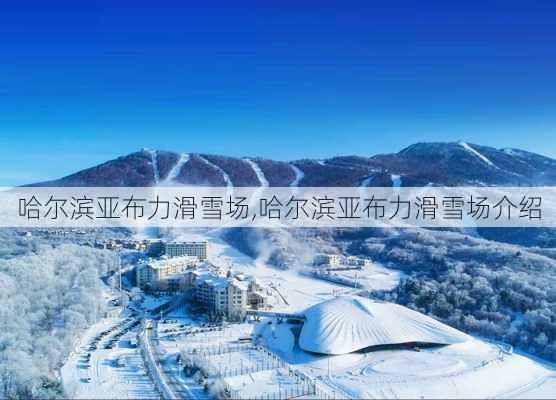 哈尔滨亚布力滑雪场,哈尔滨亚布力滑雪场介绍-第2张图片-呼呼旅行网