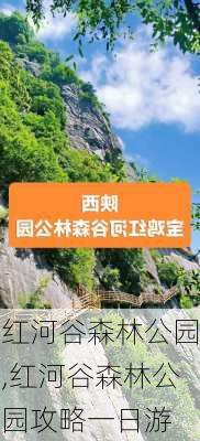 红河谷森林公园,红河谷森林公园攻略一日游-第2张图片-呼呼旅行网