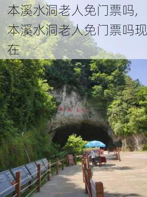 本溪水洞老人免门票吗,本溪水洞老人免门票吗现在-第3张图片-呼呼旅行网