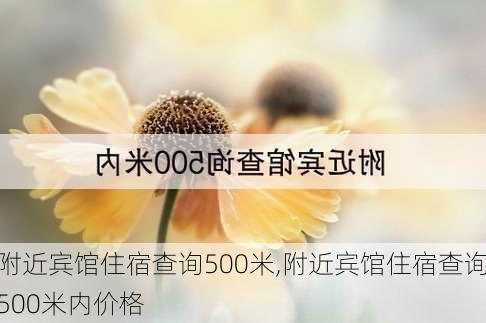 附近宾馆住宿查询500米,附近宾馆住宿查询500米内价格-第3张图片-呼呼旅行网