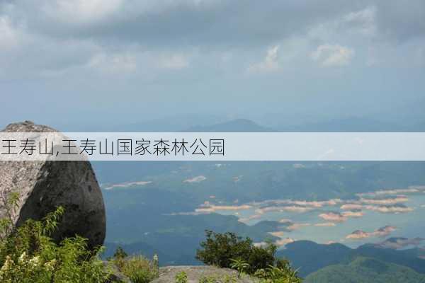 王寿山,王寿山国家森林公园-第3张图片-呼呼旅行网