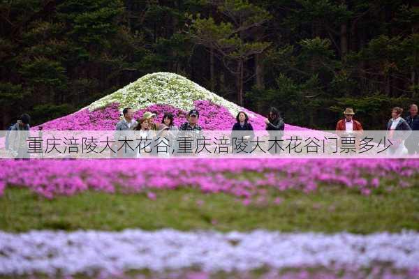 重庆涪陵大木花谷,重庆涪陵大木花谷门票多少