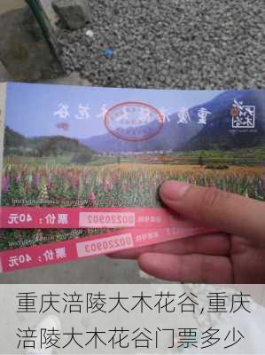 重庆涪陵大木花谷,重庆涪陵大木花谷门票多少-第2张图片-呼呼旅行网