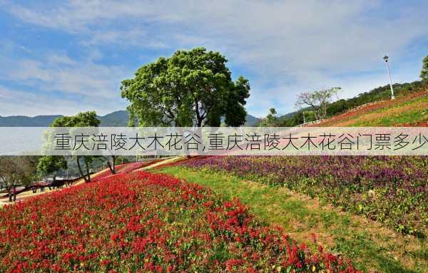 重庆涪陵大木花谷,重庆涪陵大木花谷门票多少-第3张图片-呼呼旅行网