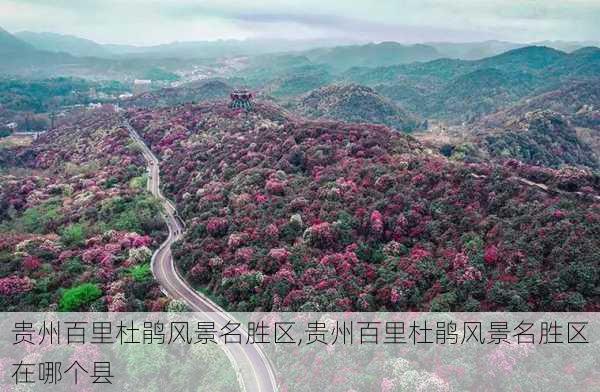 贵州百里杜鹃风景名胜区,贵州百里杜鹃风景名胜区在哪个县-第1张图片-呼呼旅行网