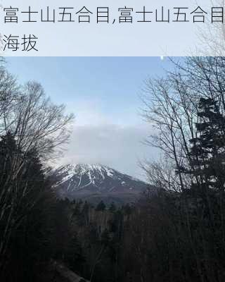 富士山五合目,富士山五合目海拔-第3张图片-呼呼旅行网