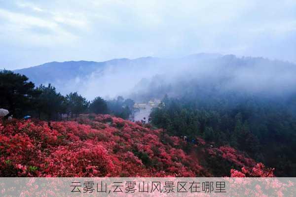 云雾山,云雾山风景区在哪里-第1张图片-呼呼旅行网