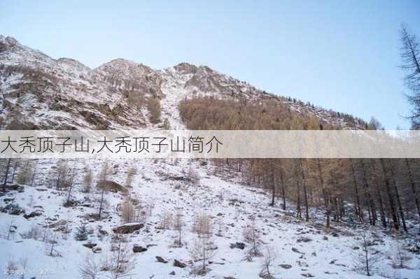 大秃顶子山,大秃顶子山简介-第3张图片-呼呼旅行网