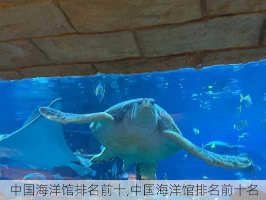 中国海洋馆排名前十,中国海洋馆排名前十名-第2张图片-呼呼旅行网