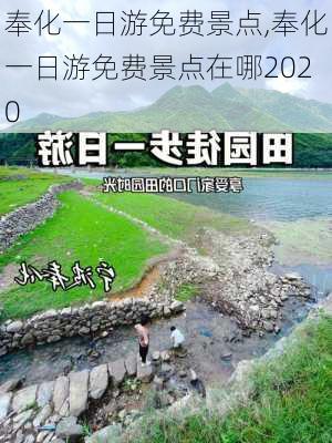 奉化一日游免费景点,奉化一日游免费景点在哪2020-第3张图片-呼呼旅行网