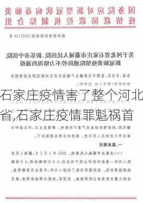 石家庄疫情害了整个河北省,石家庄疫情罪魁祸首-第3张图片-呼呼旅行网