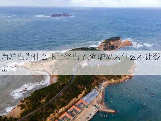 海驴岛为什么不让登岛了,海驴岛为什么不让登岛了-第3张图片-呼呼旅行网