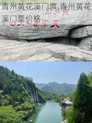 青州黄花溪门票,青州黄花溪门票价格-第1张图片-呼呼旅行网