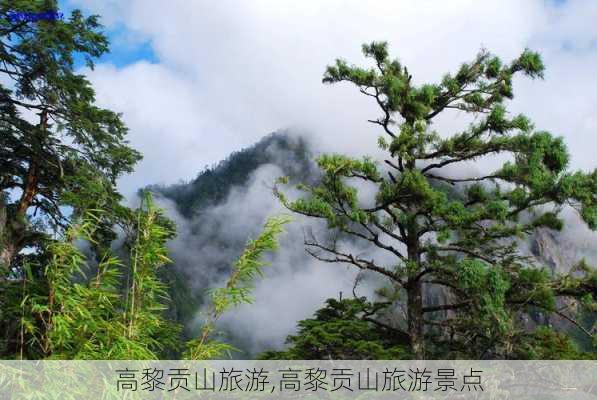 高黎贡山旅游,高黎贡山旅游景点-第2张图片-呼呼旅行网