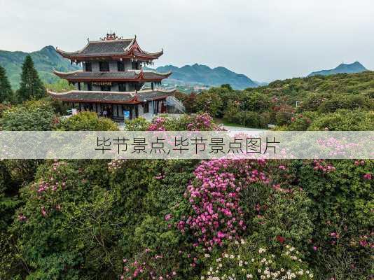 毕节景点,毕节景点图片-第1张图片-呼呼旅行网