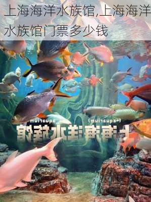 上海海洋水族馆,上海海洋水族馆门票多少钱-第2张图片-呼呼旅行网