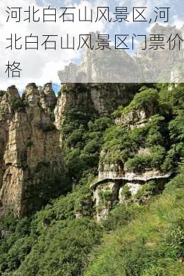 河北白石山风景区,河北白石山风景区门票价格-第2张图片-呼呼旅行网