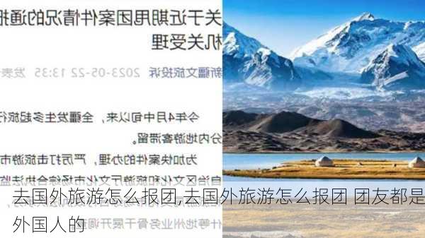 去国外旅游怎么报团,去国外旅游怎么报团 团友都是外国人的-第3张图片-呼呼旅行网