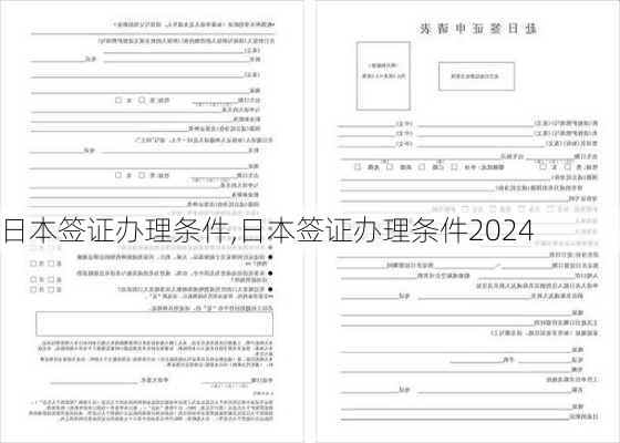 日本签证办理条件,日本签证办理条件2024-第1张图片-呼呼旅行网