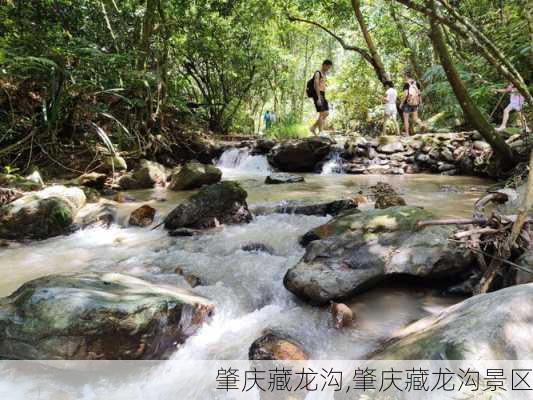 肇庆藏龙沟,肇庆藏龙沟景区-第1张图片-呼呼旅行网