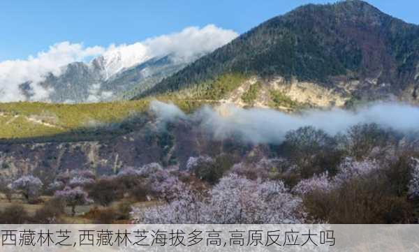 西藏林芝,西藏林芝海拔多高,高原反应大吗-第2张图片-呼呼旅行网