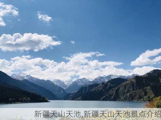 新疆天山天池,新疆天山天池景点介绍-第3张图片-呼呼旅行网