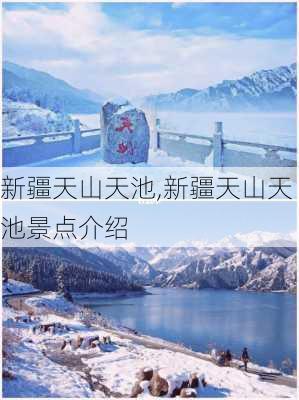 新疆天山天池,新疆天山天池景点介绍-第1张图片-呼呼旅行网