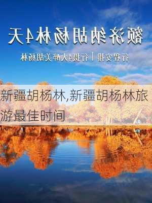 新疆胡杨林,新疆胡杨林旅游最佳时间-第1张图片-呼呼旅行网