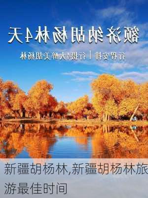 新疆胡杨林,新疆胡杨林旅游最佳时间-第2张图片-呼呼旅行网