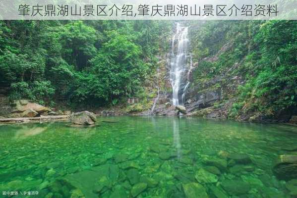 肇庆鼎湖山景区介绍,肇庆鼎湖山景区介绍资料-第2张图片-呼呼旅行网