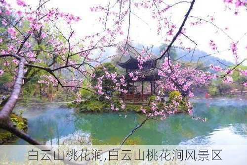 白云山桃花涧,白云山桃花涧风景区-第2张图片-呼呼旅行网