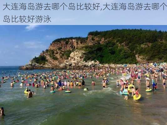 大连海岛游去哪个岛比较好,大连海岛游去哪个岛比较好游泳-第3张图片-呼呼旅行网