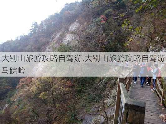 大别山旅游攻略自驾游,大别山旅游攻略自驾游马踪岭-第1张图片-呼呼旅行网