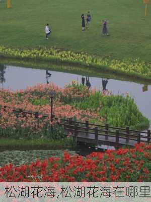 松湖花海,松湖花海在哪里-第3张图片-呼呼旅行网