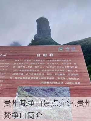 贵州梵净山景点介绍,贵州梵净山简介-第2张图片-呼呼旅行网