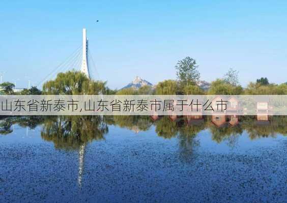 山东省新泰市,山东省新泰市属于什么市-第3张图片-呼呼旅行网