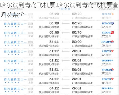 哈尔滨到青岛飞机票,哈尔滨到青岛飞机票查询及票价-第1张图片-呼呼旅行网