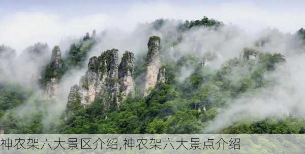 神农架六大景区介绍,神农架六大景点介绍-第3张图片-呼呼旅行网