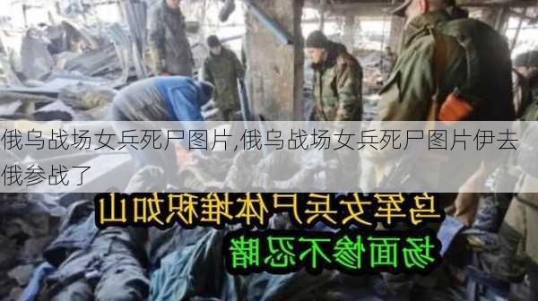 俄乌战场女兵死尸图片,俄乌战场女兵死尸图片伊去俄参战了-第3张图片-呼呼旅行网