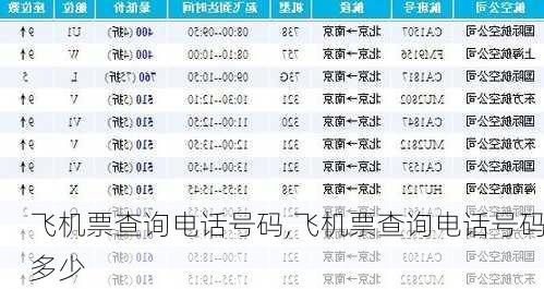 飞机票查询电话号码,飞机票查询电话号码多少-第1张图片-呼呼旅行网