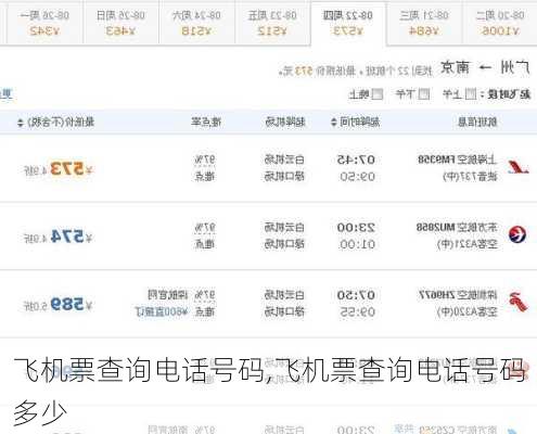 飞机票查询电话号码,飞机票查询电话号码多少-第3张图片-呼呼旅行网