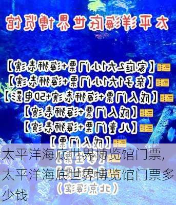 太平洋海底世界博览馆门票,太平洋海底世界博览馆门票多少钱-第3张图片-呼呼旅行网