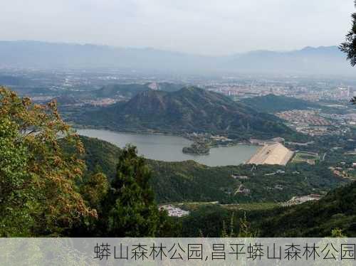 蟒山森林公园,昌平蟒山森林公园-第2张图片-呼呼旅行网