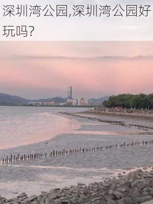 深圳湾公园,深圳湾公园好玩吗?-第1张图片-呼呼旅行网