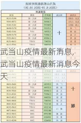 武当山疫情最新消息,武当山疫情最新消息今天-第2张图片-呼呼旅行网