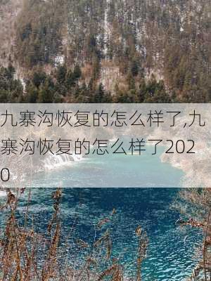 九寨沟恢复的怎么样了,九寨沟恢复的怎么样了2020-第1张图片-呼呼旅行网