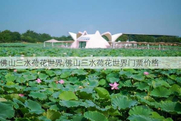 佛山三水荷花世界,佛山三水荷花世界门票价格-第3张图片-呼呼旅行网