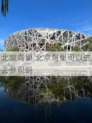 北京鸟巢,北京鸟巢可以进去参观吗-第2张图片-呼呼旅行网